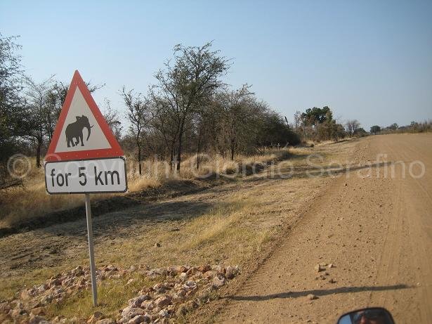 Al momento stai visualizzando Botswana